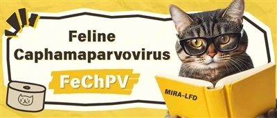 Artiklu Qsim丨MIRA-LFD Jiskopri Mard tal-Annimali Domestiċi f'20 Minuta